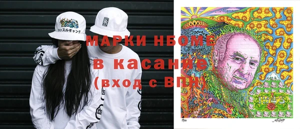 прущие грибы Киреевск