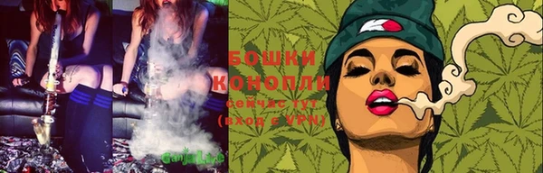 прущие грибы Киреевск
