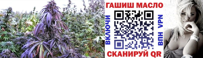 Дистиллят ТГК концентрат  Купить  Дедовск 